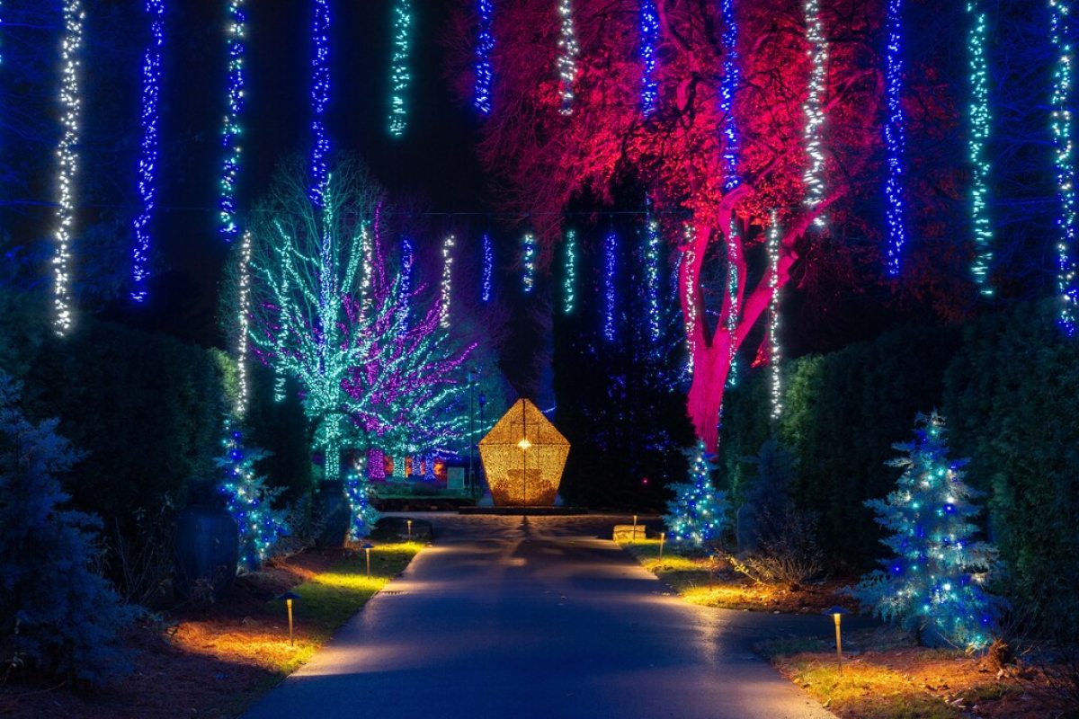 Longwood Gardens Named The Best Botanical Garden Holiday Lights By USA